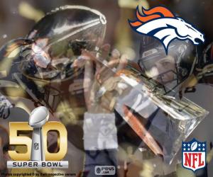 yapboz Broncos, Super Bowl 2016 şampiyonları